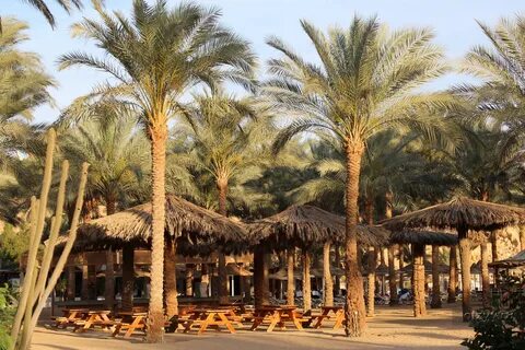 Fun sun seti sharm