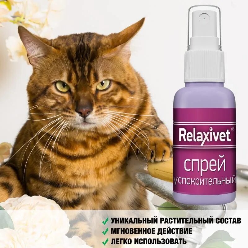 Успокоительное для кошек relaxivet. Релаксивет спрей для кошек. Релаксивет спрей успокоительный 50мл. Спрей Relaxivet успокоительный для кошек. Спрей Relaxivet успокоительный, 50 мл.