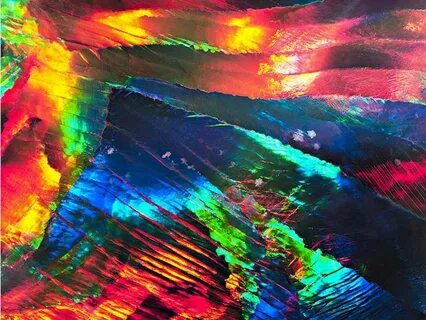 The most colorful