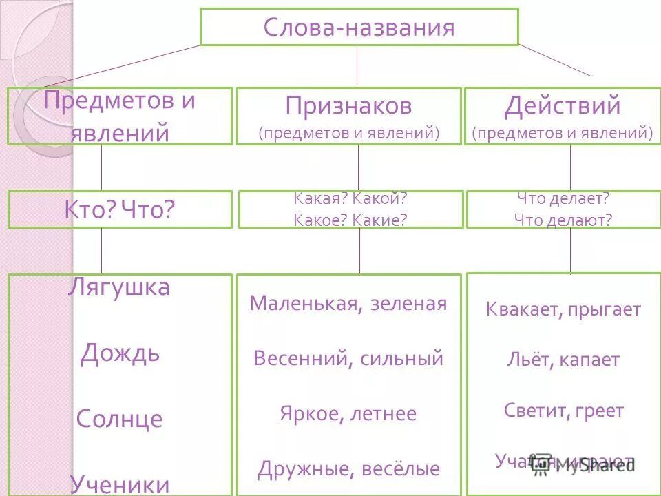 Признаки по русскому языку 3 класс. Слава -название предметов. Слова названия предметов. Слова названия предметов признаков действий. Слова названия предметов и явлений.