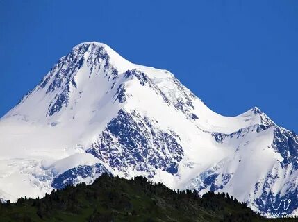 Самая высокая гора алтая
