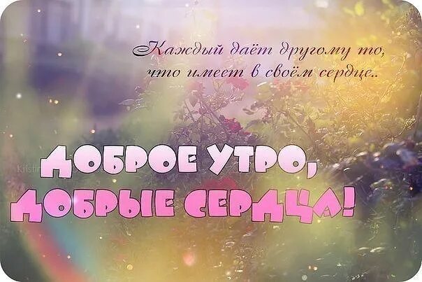 Доброе утро гр добро. Доброе утро группа. доброе утро дорогая группа. пожелания с добрым утром подписчикам. доброе утро любимая группа.