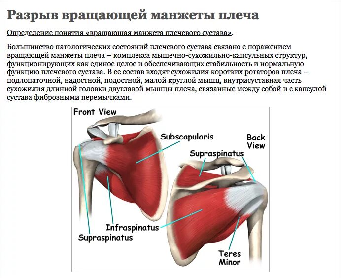 Повреждение ротаторная манжета. Ротаторная манжета плечевого разрыв. Повреждение ротационной манжеты плечевого сустава. Вращательная манжета плеча мышцы.