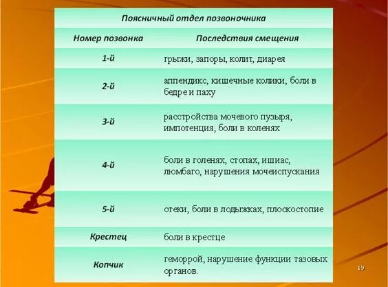 Функции отделов позвоночника. Функции поясничного отдела позвоночника. Функции поясничных позвонков. Функции поясничного отдела позвоночника человека.