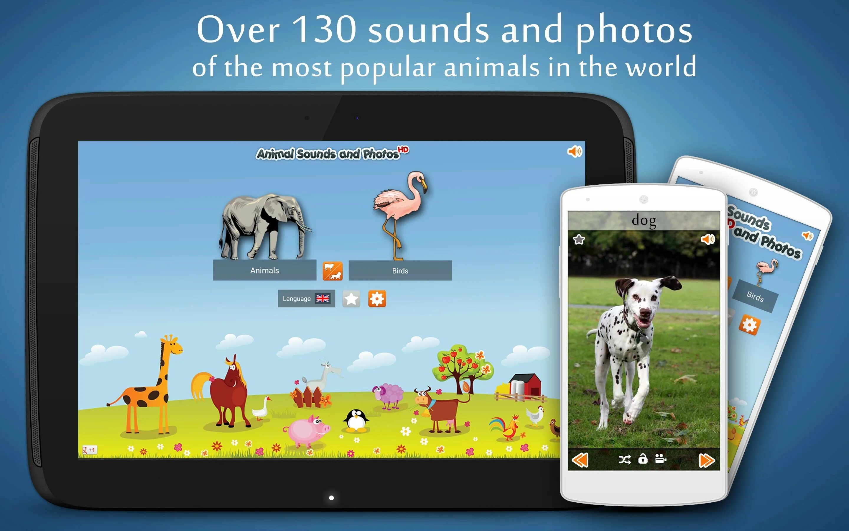 Animals Sounds. Learn animal Sounds. Animal Sounds for Babies. Sound apps