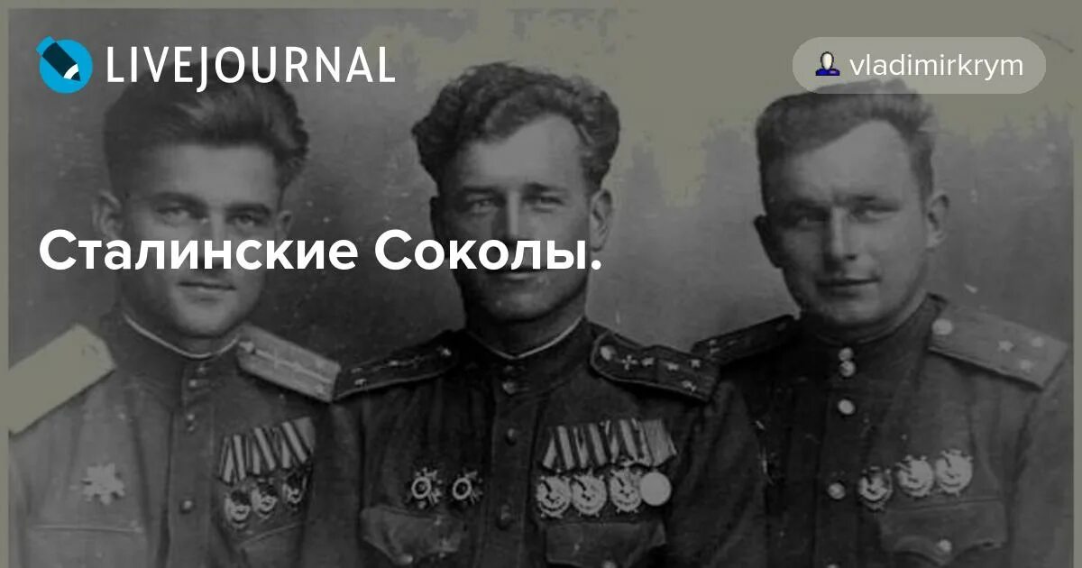 Сталинский сокол. Газета сталинские соколы 1942. Сергей николаевич моргунов. Сталинские соколы плакаты. Сталинские соколы плакаты.