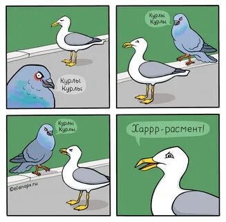 Узбиген курлык мурлык