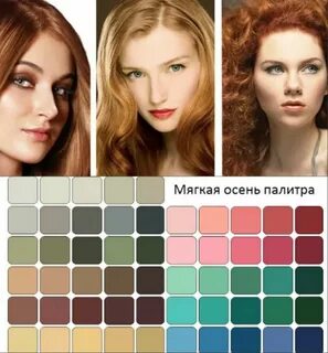 Цвет волос глаз и цвет одежды