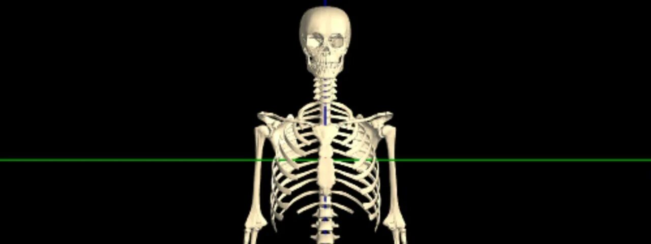 Bones animation. Bones animation