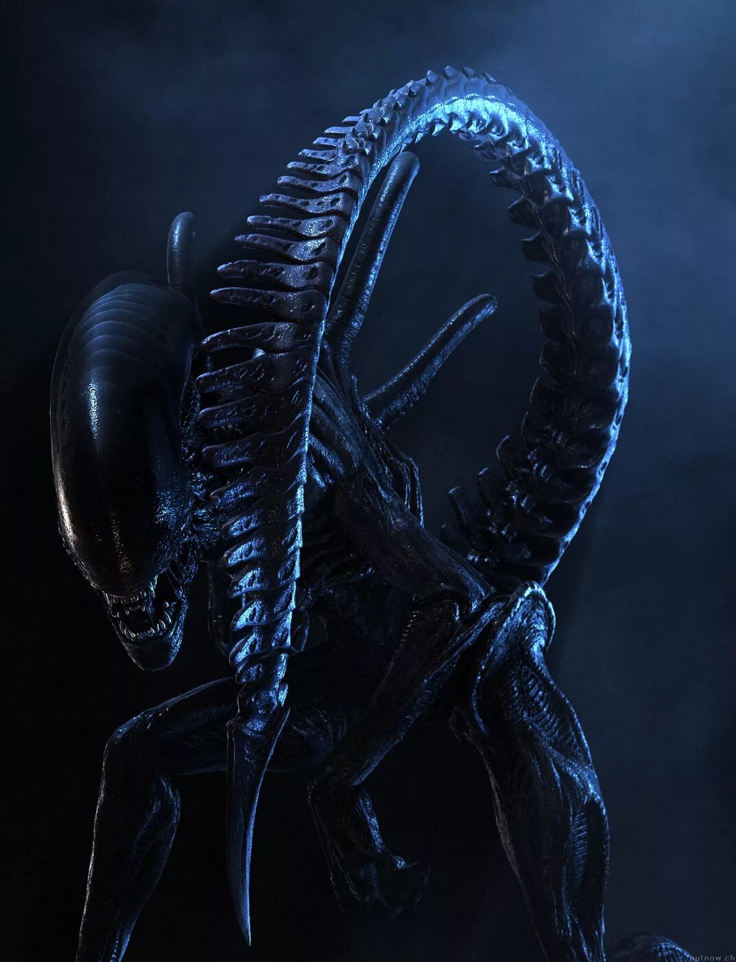 Alien Ксеноморф Xenomorph. Ксеноморф трутень чужой 1979. Ксеноморф самка Королева.