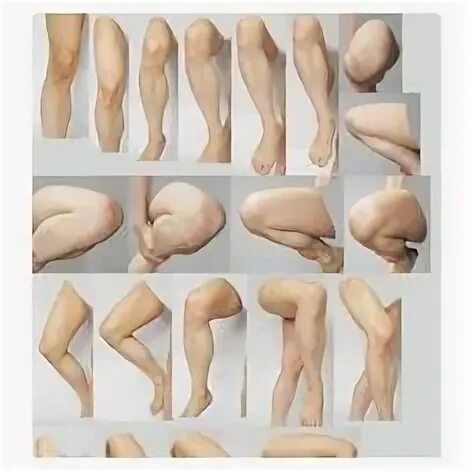 Leg reference. Leg reference