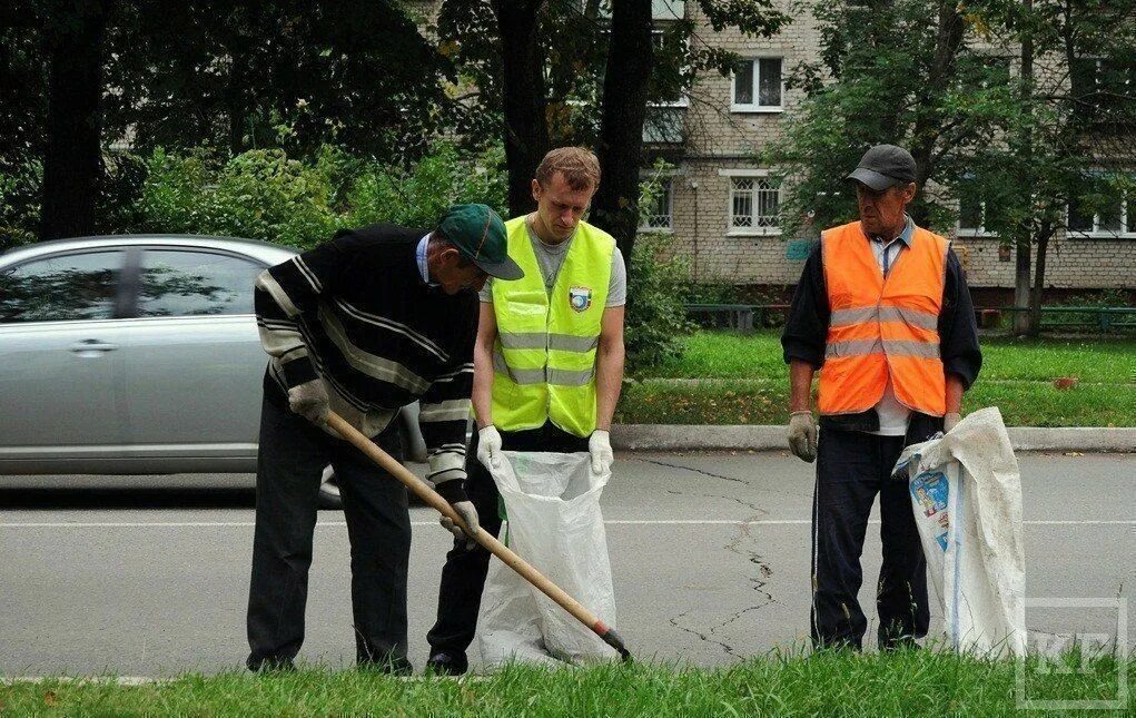 Общественные работы что делают