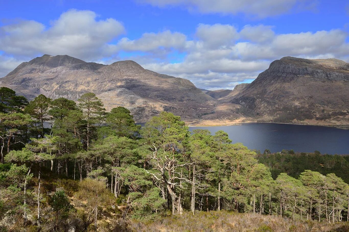 Scotland nature reserves. Гавайи заповедник. Заповеднике на острове рам. Reserve заповедник. Шотландское дерево.