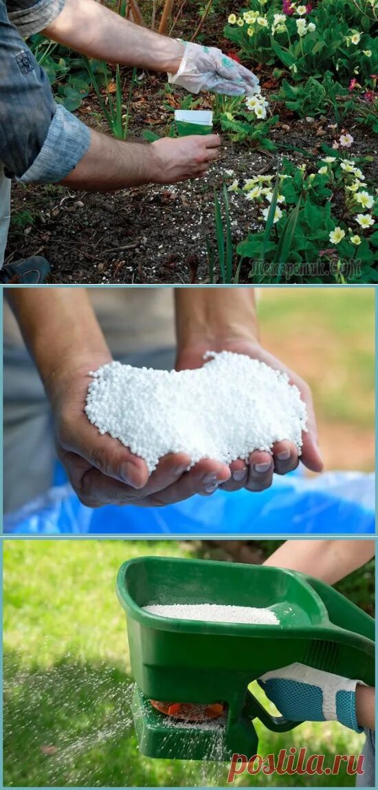 Правильное подкармливание растений. Карбамид аммиачная селитра. Карбамид в почву. Удобрение карбамид мочевина. Внесение удобрений в почву.