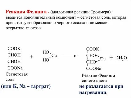 Коламин биологическая роль