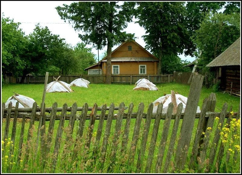 Купила деревню в белоруссии. Белоруссия деревня Борковичи. Села в Белоруссии. Беларусь деревни Белоруссии. Деревенька белорусская.