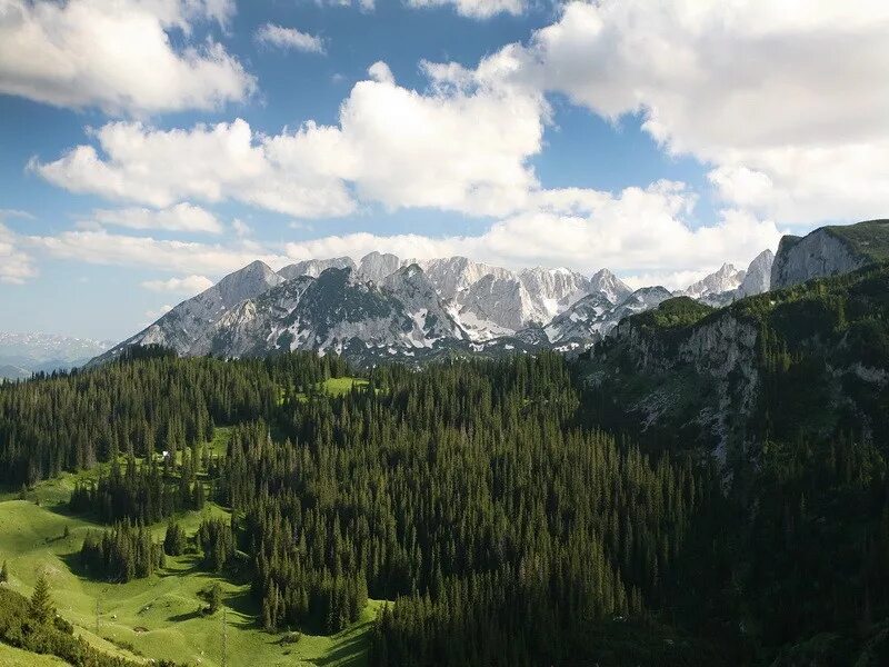 Жабляк черногория. Жабляк. Черногория город Жабляк. Национальный парк Жабляк.