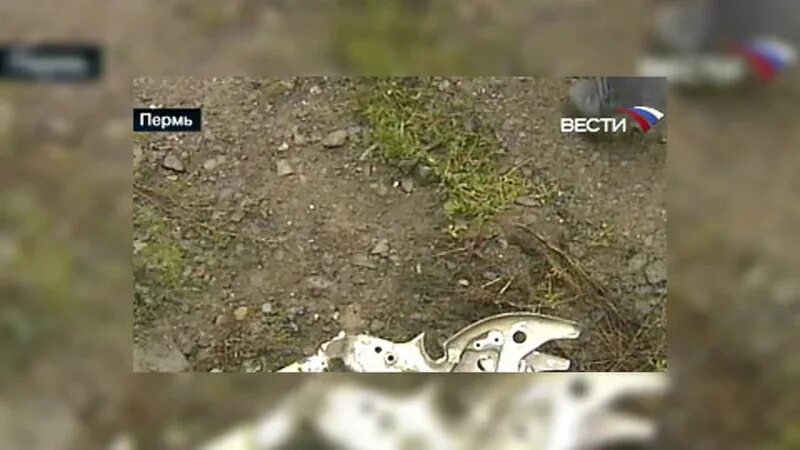 Катастрофа 737 пермь. Катастрофа boeing 737 в перми жертвы. катастрофа boeing 737 в перми погибшие. погибшие в авиакатастрофе в перми. катастрофа boeing 737 в перми расследование авиакатастроф.