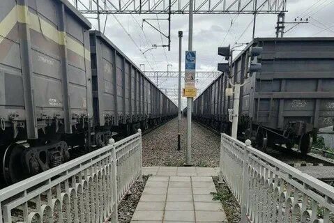 Жд пискаревка