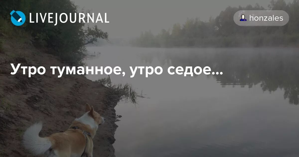 Стихи блока встану я в утро туманное. Утро туманное утро седое текст. Утро туманное текст Тургенев. Утро туманное утро седое похмелья на позитиве. Утро туманное утро седое картинки прикольные.
