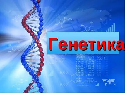 Генетический слово