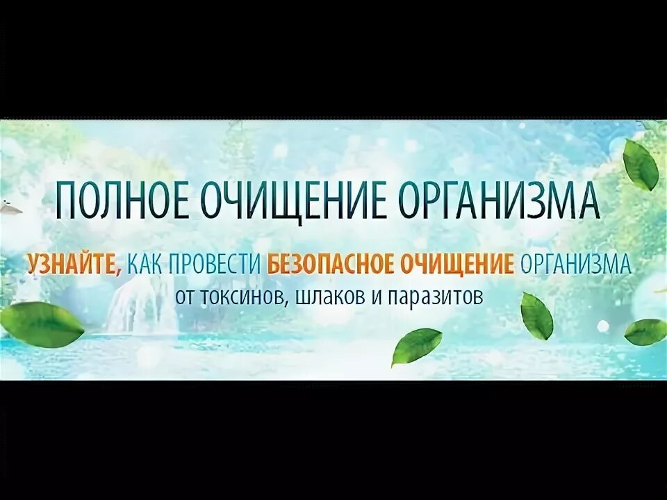 Последовательность очищения. Как провести очистку организма. Безопасное очищение организма дома. Очистка кишечника от шлаков и токсинов. С чего начинается чистка организма.