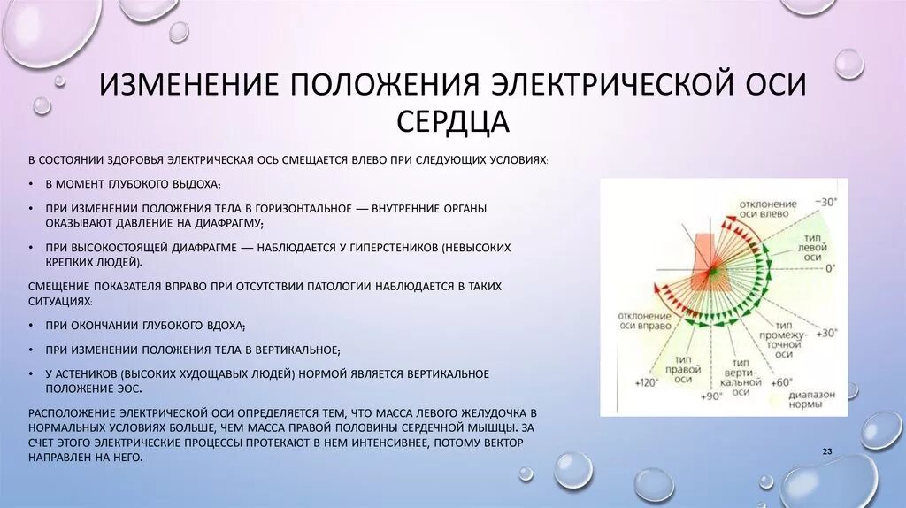 Вертикальная позиция сердца. ЭОС У детей норма. Положение электрической оси сердца. Изменения электрической оси сердца. Электрическая ось сердца (ЭОС).