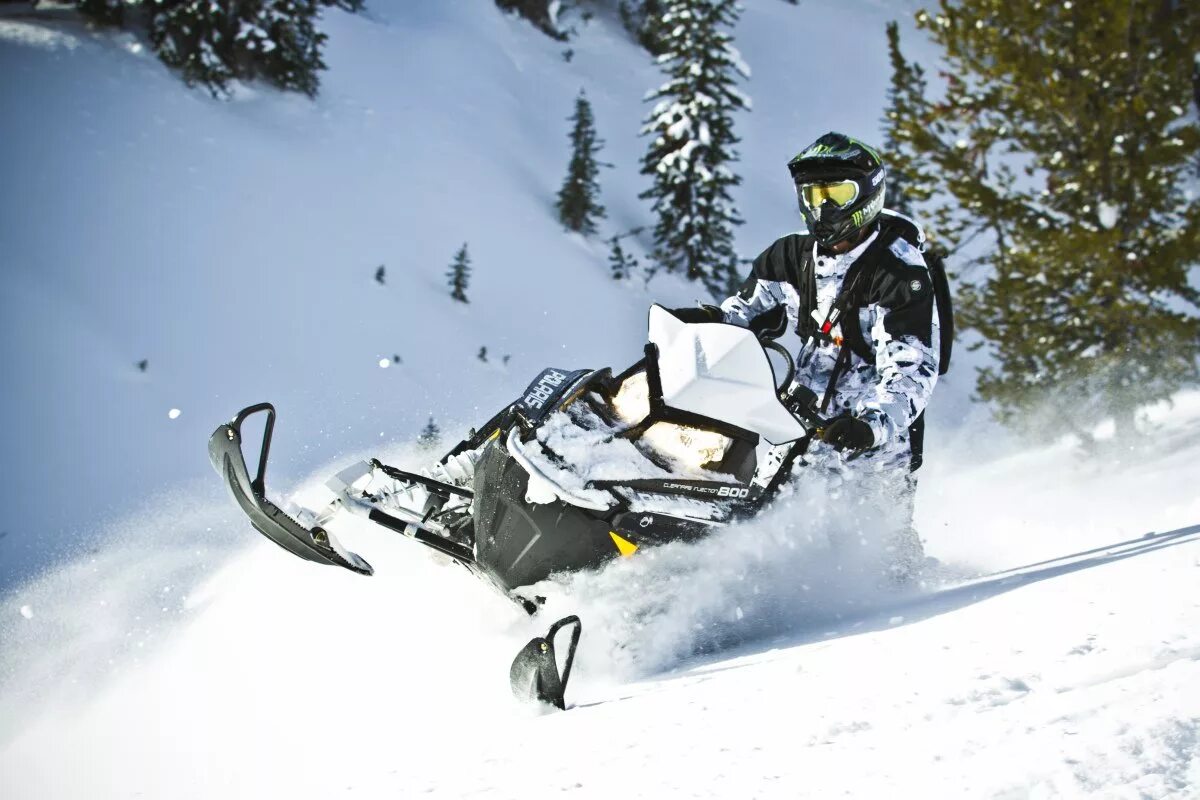 Снегоход брп 1200 ренегат. Детский снегоход ski doo. Снегоход ski doo 2015. Горные снегоходы арктик кат. Альпина снегоход брп.