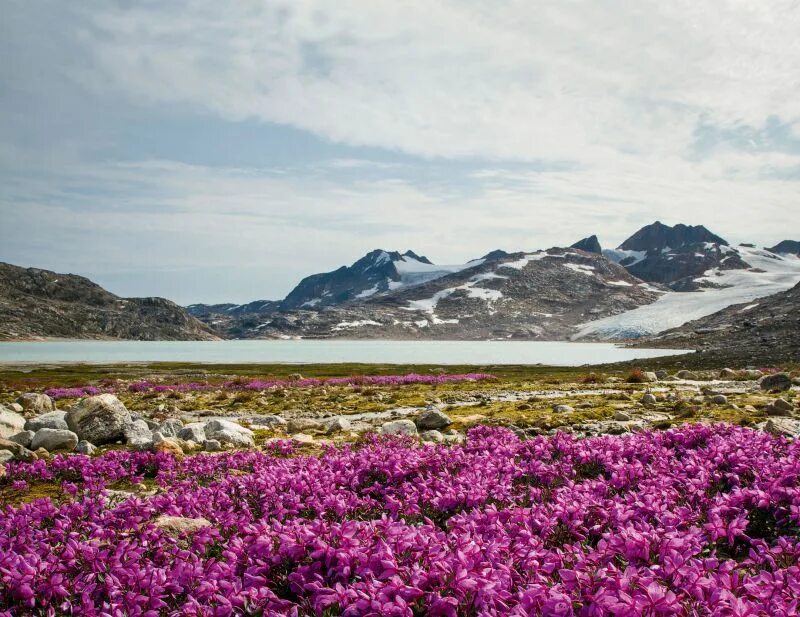 гора денали (мак-кинли). гренландский национальный парк заповедник. гренландский национальный парк заповедник. острова архипелага земля франца-иосифа. самый северный национальный парк.