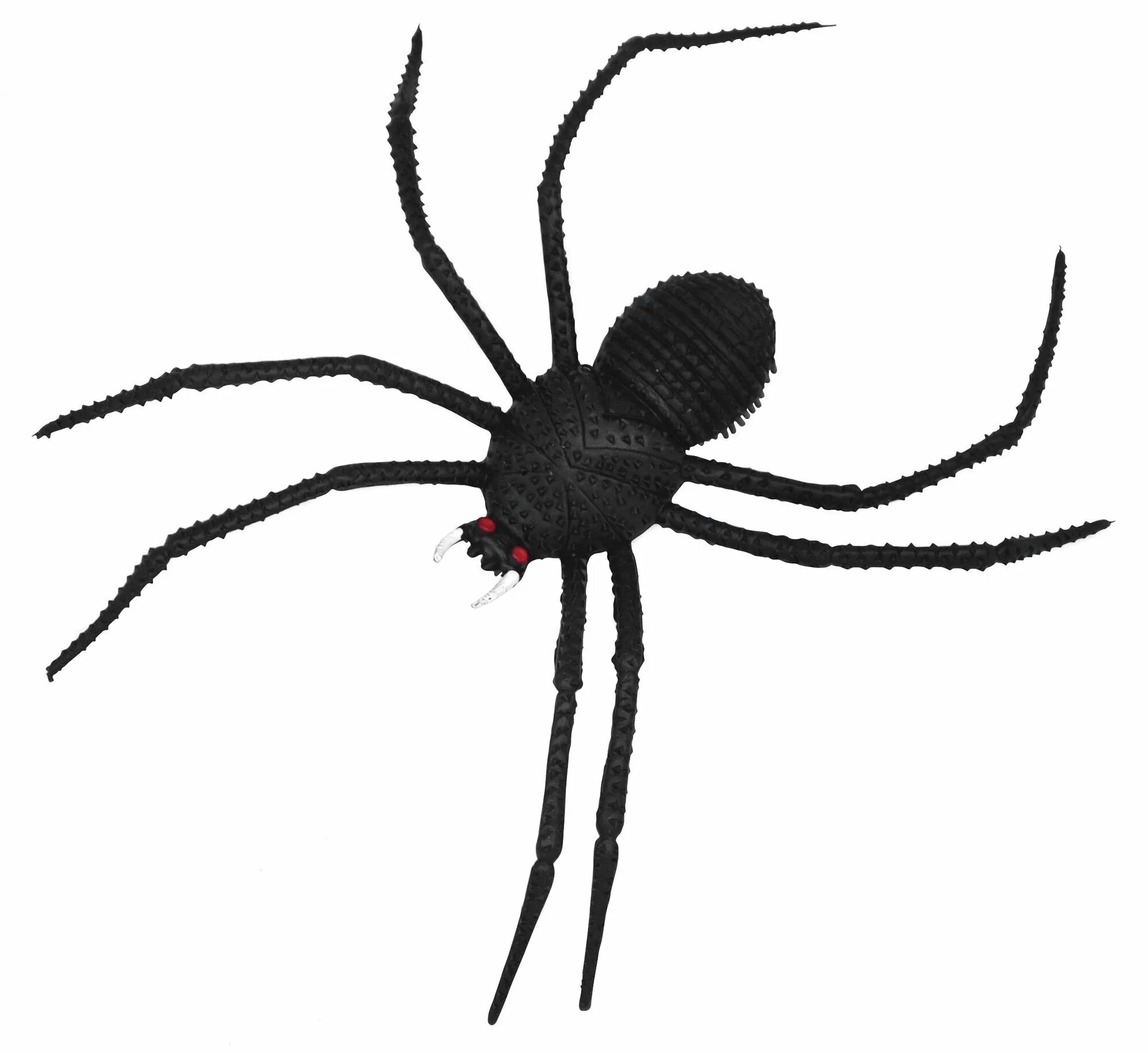 Черный паук хорошо. Черные прыгучие пауки. Маленький черный паучок. Большой чёрный паук с длинными лапами. Уличные пауки.
