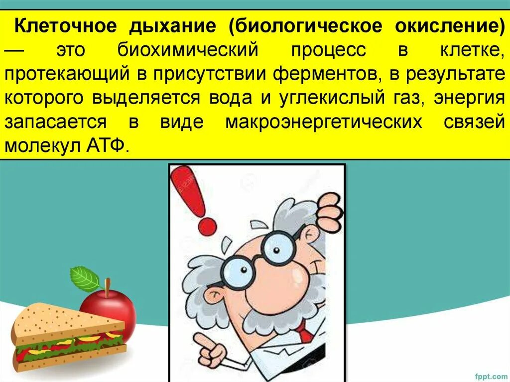 Окисление дыхания. Клеточное окисление. Биологическое окисление дыхание. Клеточное дыхание.