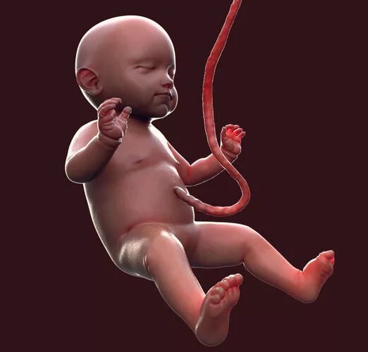 Slimdog baby 3d. Слимдог 2018 baby. Слимдог райли. Слимдог 2018. Тоддлеркон бейби.