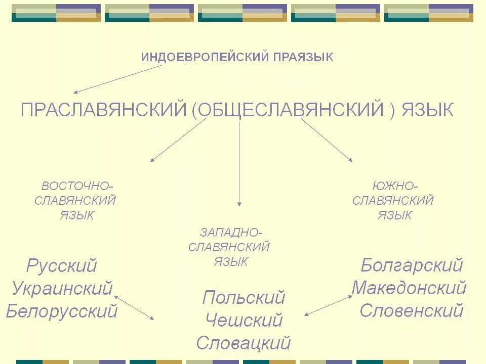 Праславянский язык таблица. Праславянский Общеславянский язык это. Праславянский и индоевропейский языки. К славянской группе языков относятся. Славянская лексика