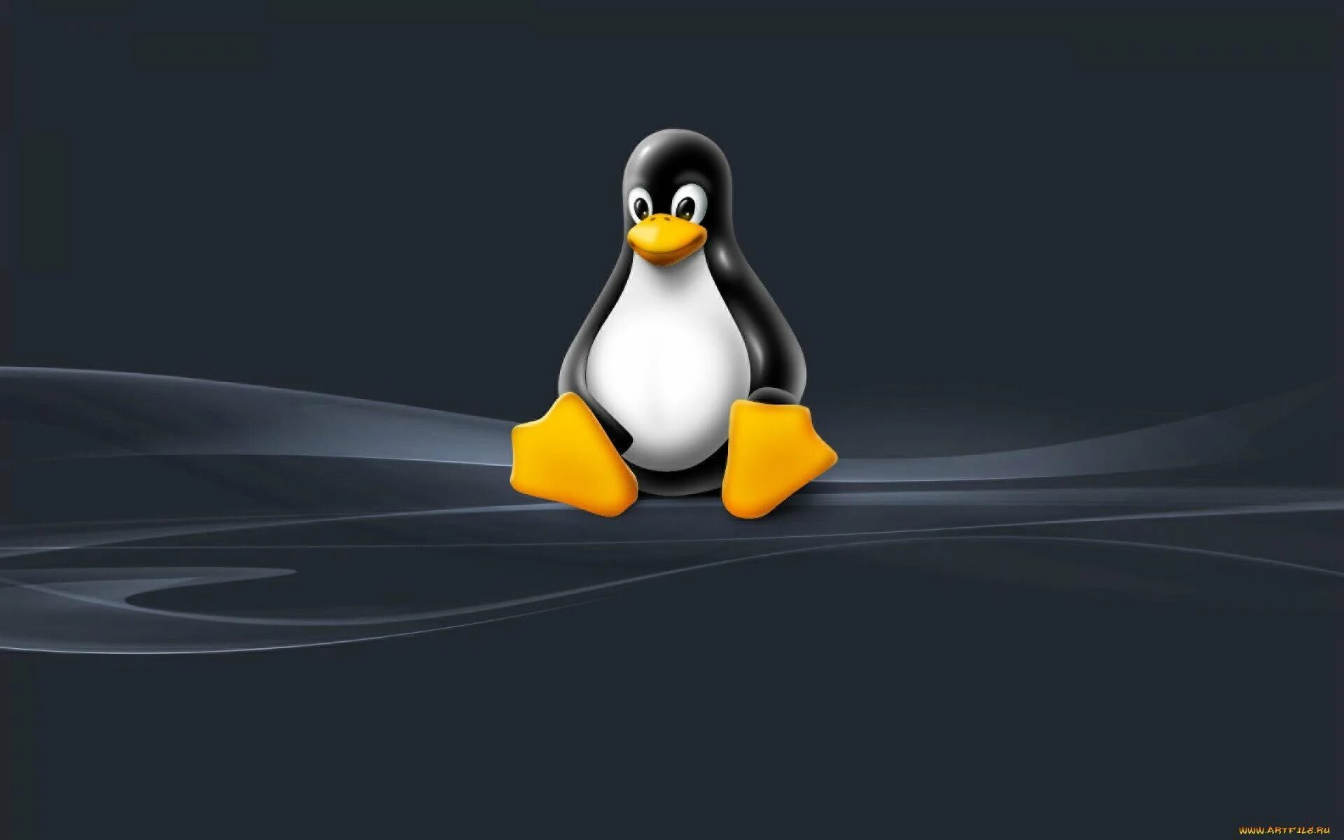 Vk linux. Линукс дебиан Пингвин. Линукс Операционная система. Фон рабочего стола Linux. ЛБТКУКС.