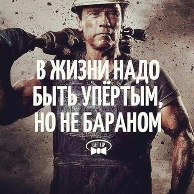 со спортом по жизни. путин показывает кулак мем. потому что потому путин мем. путин мемы. тони старк на горе.