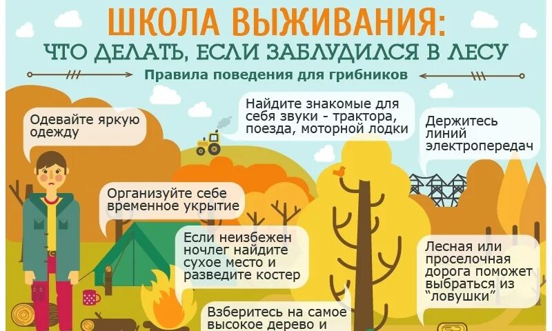 Что нужно делать в лесу если заблудился. Памятка заблудившемуся в лесу. Памятка если заблудился в лесу. Чтчто делать если заблудился в лесу. Правила поведения в лесу если заблудился.