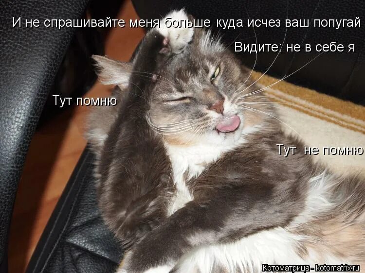 Я ее тут не вижу