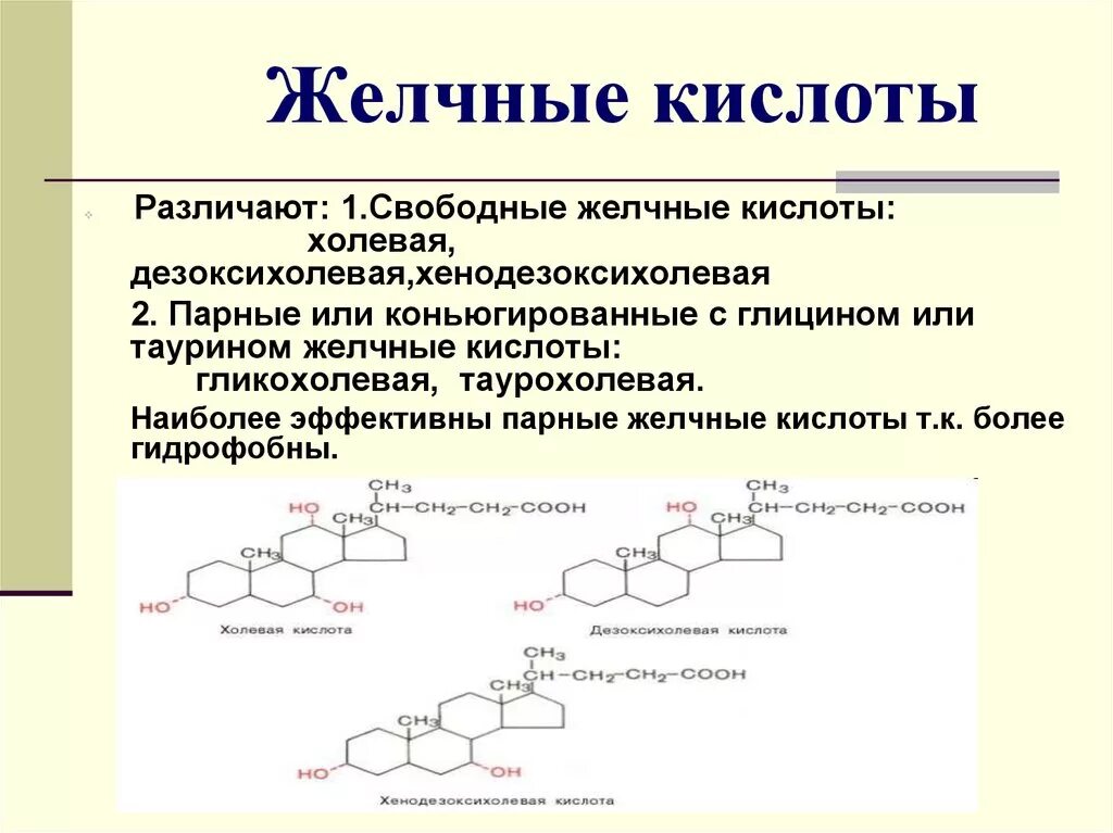 Липиды желчных кислот. Биологическая роль желчных кислот биохимия. Структура желчных кислот биохимия. Парные (конъюгированные) жёлчные кислоты. Первичные вторичные и парные желчные кислоты.