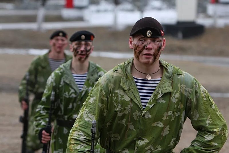 Тютерев морпех. Морская пехота вмф рф. Тютерев морпех. Берет морской пехоты. Морская пехота тоф 155 бригада.
