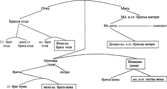 Супруга брата матери