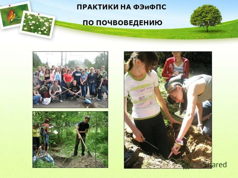 практика по почвоведению. почвовед. практика по почвоведению. почвоведение специальность. студенты геологи.