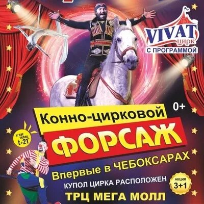 Цирк Виват. Цирк Vivat Чебоксары. Цирк Виват Петрозаводск. Реклама цирка.