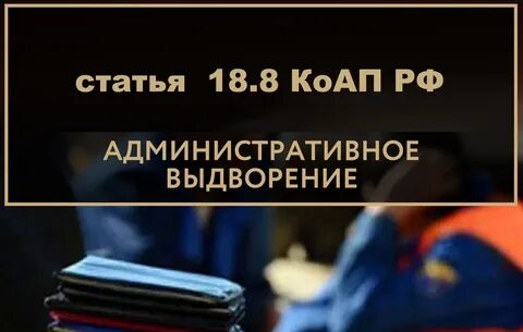 Выдворение коап срок