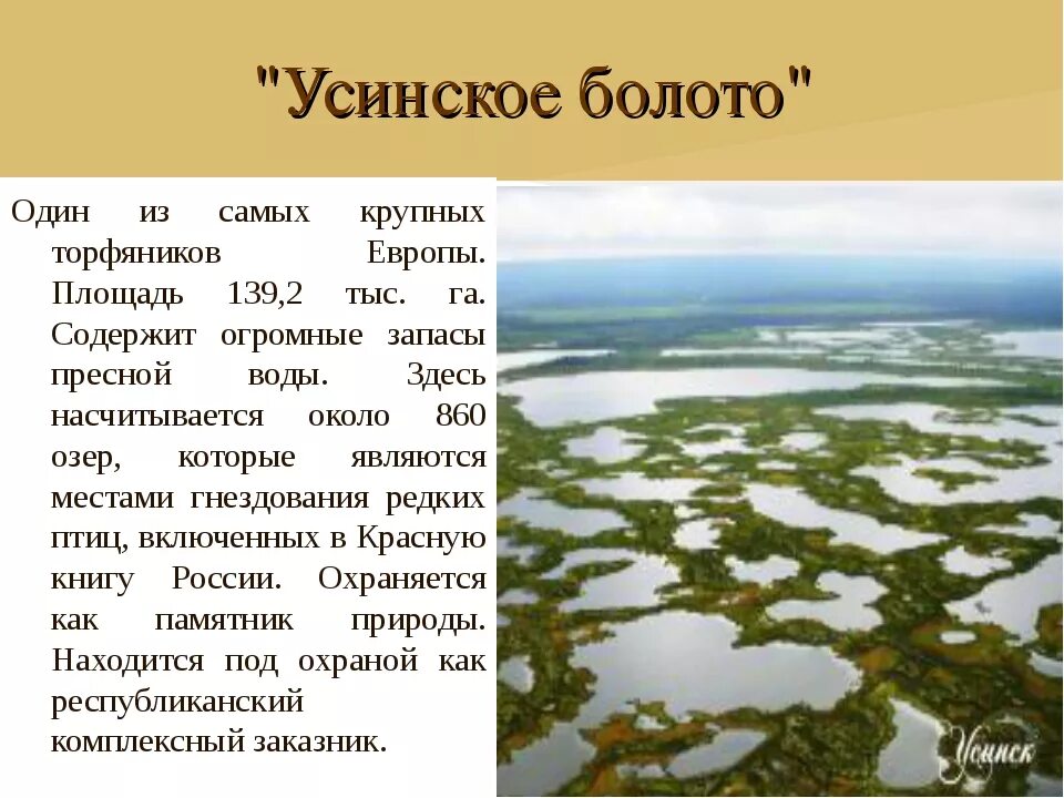 Усинское болото в Республике Коми. Болота Республики Коми океан. Самое большое болото в Республике Коми. Болота Европы.