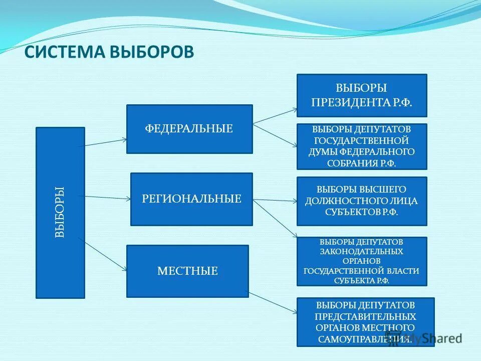 Выборы муниципального уровня