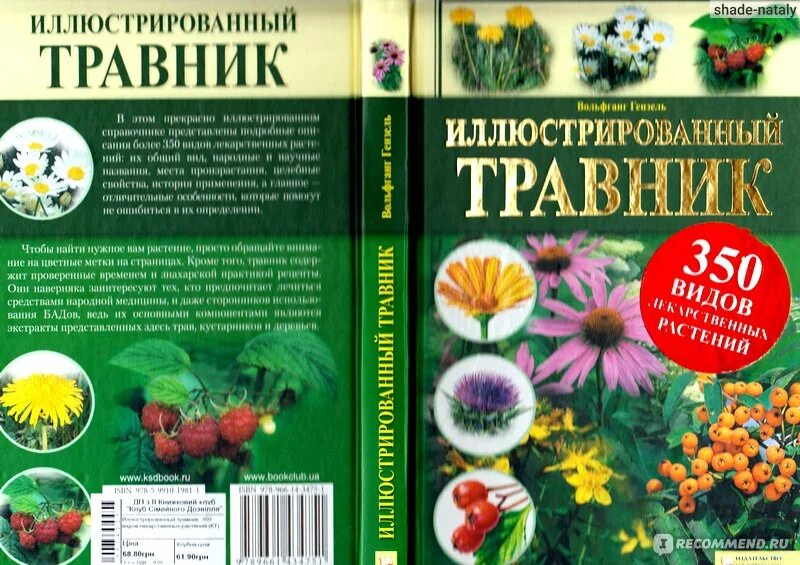 Что такое травник. Иллюстрированный травник. травник книга. домашний травник. домашний травник практический лечебник.