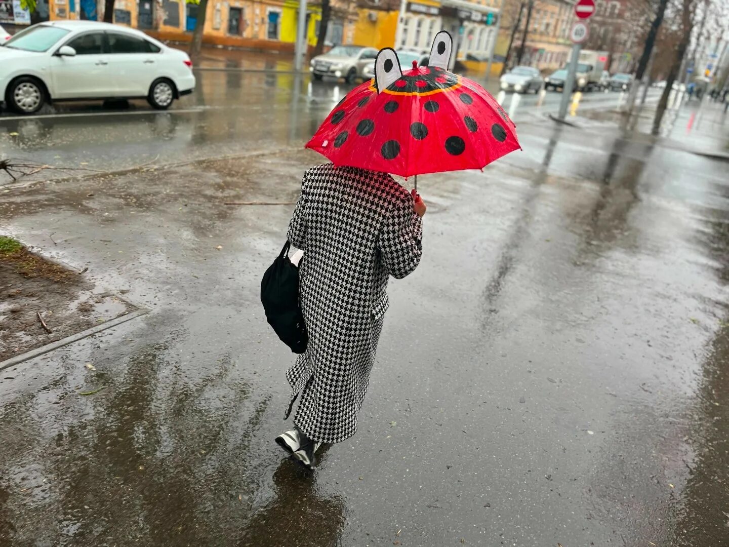 Ливень зонт. Дождливые выходные. Фотосессия по дождем. Саратов дождь.