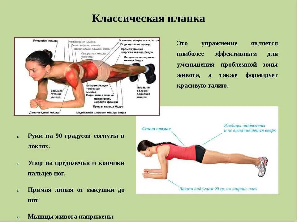 Во время выполнения 1. Планка правильность выполнения. упражнение планка схема выполнения. как правильно делать планку на локтях. как выполнить планку на локтях.