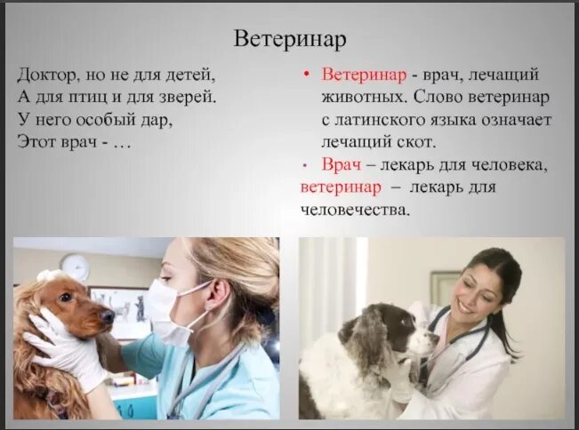 Окружающий мир 2 класс проект профессия ветеринар Презентация на тему "Профессия ветеринар"