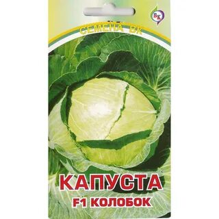 Сорт капусты колобок характеристика отзывы